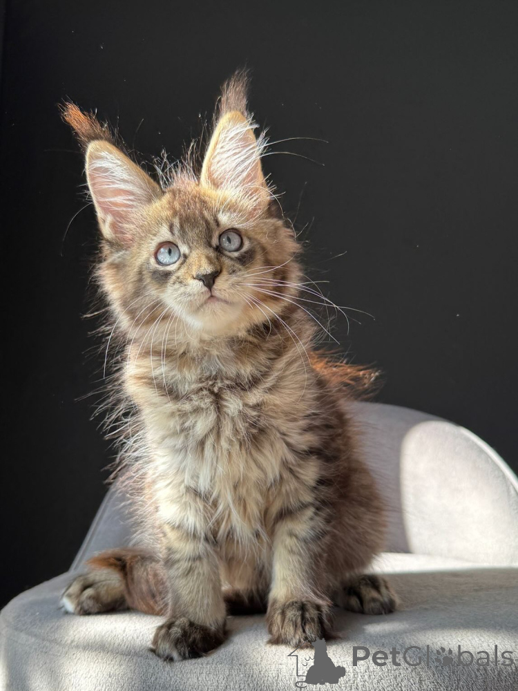 Саратов қаласының үйдегі интимдік бейнесі Кімге кондиция ұнайды?