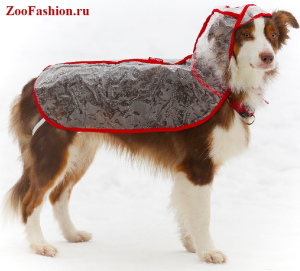 Фото №1. Одежда для собак всех пород в Москве. Цена 255руб. Объявление №3779