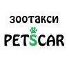 Фото №1 Услуги по доставке и перевозке котов и собак Москва. Объявление №36932