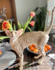 Фото №1. ориентальная кошка - купить в Перми за договорная. Объявление №41024