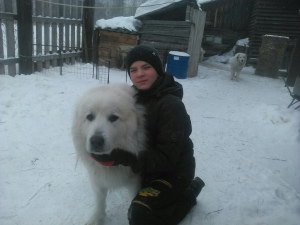 Фото №4. Продажа пиренейскую горную собаку в Красноярске частное объявление - цена договорная