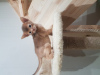 Дополнительные фото: Продажа абиссинских котят