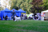 Фото №4. Продажа самоедскую собаку в Sosnowiec заводчик - цена договорная