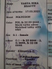 Фото №2 к объявлению №54419 о продаже мейн-кун - купить в Беларуси частное объявление, из питомника, заводчик