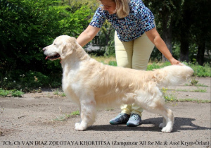 Дополнительные фото: Щенки GOLDEN RETRIEVER