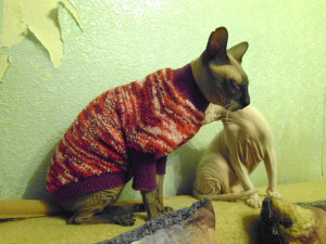 Фото №2. Одежда для собак и котов в России. Цена 600руб.  Объявление №3274