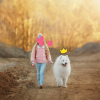 Фото №2 к объявлению №42516 о продаже самоедскую собаку - купить в Беларуси частное объявление