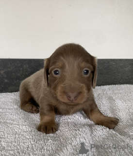 Фото №3. зAreGyStrovaNannAmnannAmnannAn -vmioniaTюrnain.  Германия