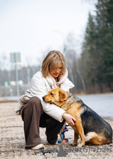 Фото №2 к объявлению №139188 о продаже беспородную - купить в России 