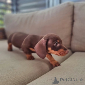 Фото №4. Продажа  в Барри  - цена Бесплатно