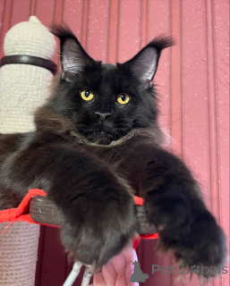 Фото №3. Ни одна гора не слишком высока, ни слишком маленькое объятие, Джаспер покоряет. Дания