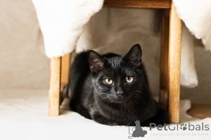 Фото №3. Космическая Луна. Беларусь