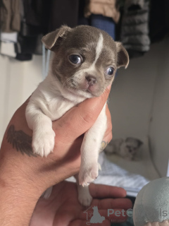 Фото №4. Продажа  в Bat Yam частное объявление - цена договорная