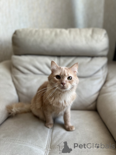 Фото №3. Очаровательный Ютуб. Беларусь