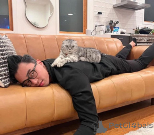 Фото №3. Нам так грустно видеть, что наш новый помет скоро отправится в новый дом!!.  Германия