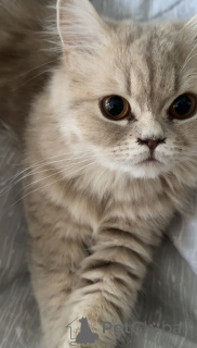 Фото №3. Тбилиси. Грузия