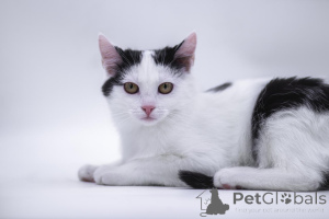 Фото №1.  - купить в Москве реке за Бесплатно. Объявление №155317