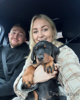 Фото №1.  - купить в Берлине за 60299₽. Объявление №140569