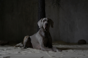 Фото №3. Екатерина рыжикова в  России. Объявление №139215