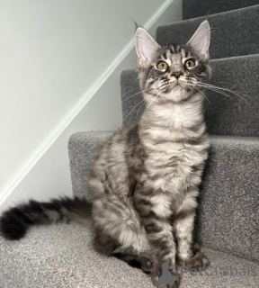 Фото №3. Одна девушка, один мальчик готов уйти. США