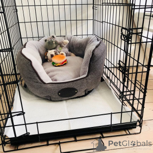 Фото №4. Продажа  в Андерлехт  - цена договорная