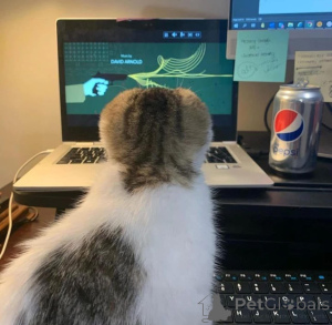 Фото №3. лучшее, что можно прийти домой после долгого тяжелого рабочего дня. . .. Бельгия