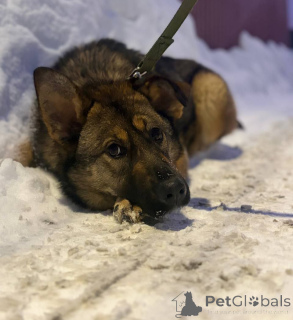 Фото №4. Продажа  в Москве реке частное объявление - цена Бесплатно