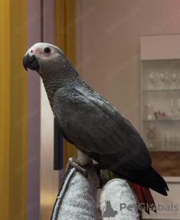 Фото №4. Продажа  в Барселоне  - цена 157704₽