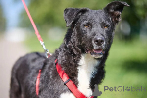 Фото №3. Ночка - очень добрая и очень своя. Та, с кем легко и радостно каждый день..  Россия