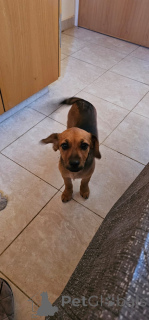 Фото №4. Продажа  в Limassol частное объявление - цена 27830₽