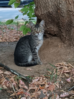 Фото №1.  - купить в Москве реке за Бесплатно. Объявление №152386