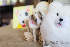 Фото №3. Дом декана Джанет Кей.  США