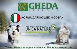 Фото №1. "GHEDA Proper Form Professional Breeders" корм для собак в . Цена договорная. Объявление №4238