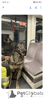 Фото №3. Alexander Morozov.  Эстония