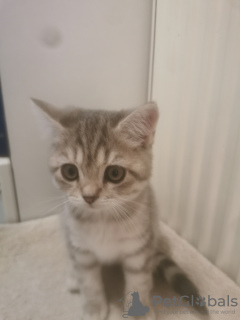 Фото №3. BKH. Германия