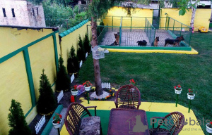 Фото №4. Продажа немецкую овчарку в Ruma заводчик - цена договорная