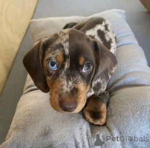 Фото №2 к объявлению №167012 о продаже  - купить в Испании 