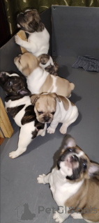 Фото №3. Предлагаю резервирование.  Украина