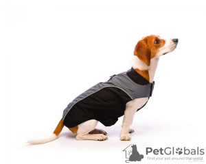 Фото №1. Куртка для собаки в Москва. Цена 1000₽. Объявление №11537