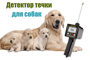 Фото №1. Идеальный инструмент для заводчиков - детектор течки DRAMINSKI для собак в Москве. Цена 35000руб. Объявление №2230