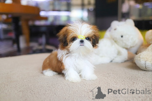 Фото №3. Дом декана Джанет Кей.  США