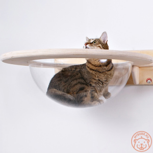 Фото №2. Мебель для собак и котов в России. Цена 10000₽.  Объявление №5274