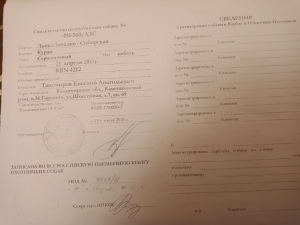 Фото №2 к объявлению №4203 о продаже  - купить в России заводчик