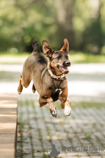 Фото №3. Стася ищет дом и сердце, в котором она снова будет нужной..  Россия