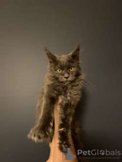 Фото №3. Виолета Щепанек. Польша