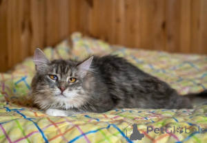 Фото №1.  - купить в Москве реке за Бесплатно. Объявление №150996