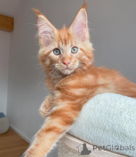 Фото №3. Доступный. США