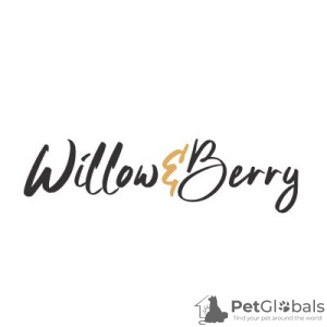 Фото №1. Willow and Berry в Тольятти. Цена договорная. Объявление №8224