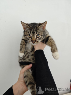 Фото №1.  - купить в Москве реке за Бесплатно. Объявление №159964