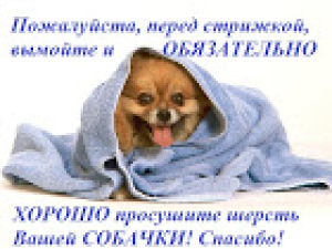 Фото №3. Стрижка собак средних пород на дому в  России